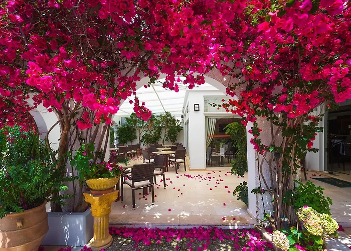 Kyparissia Beach Hotel 3*